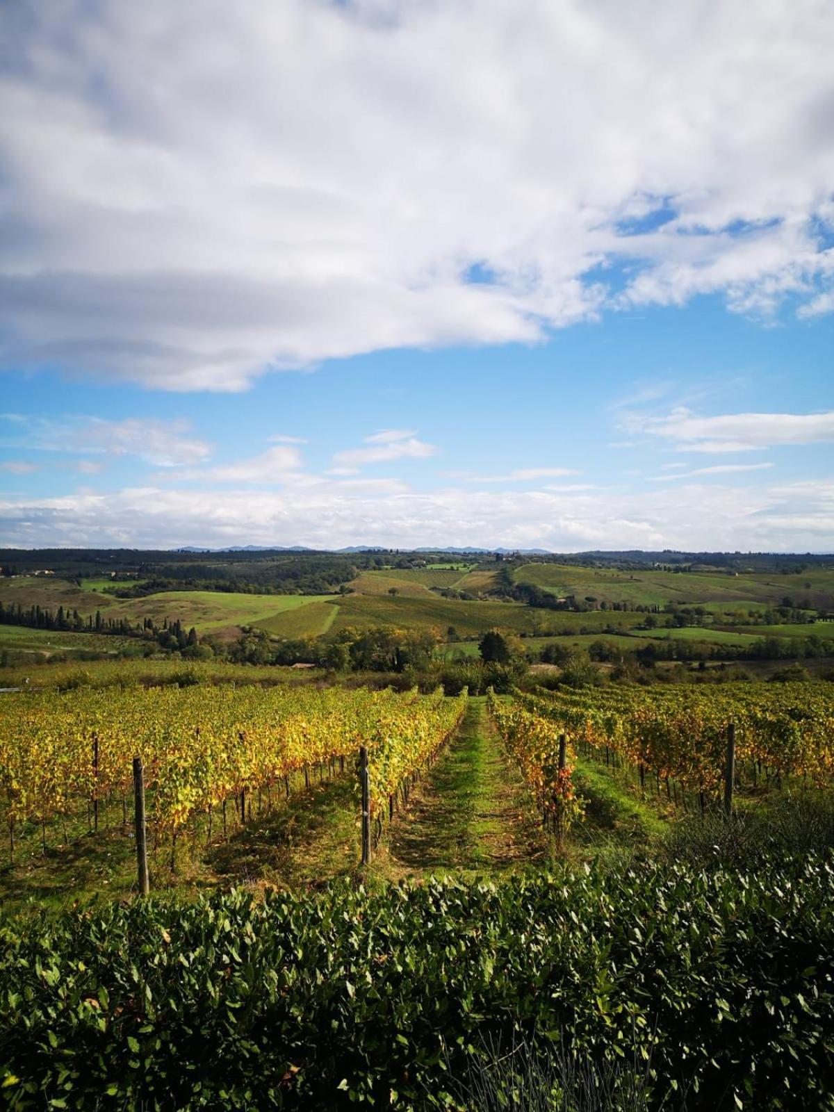 Farm stay Il Castagno Wine & Siena