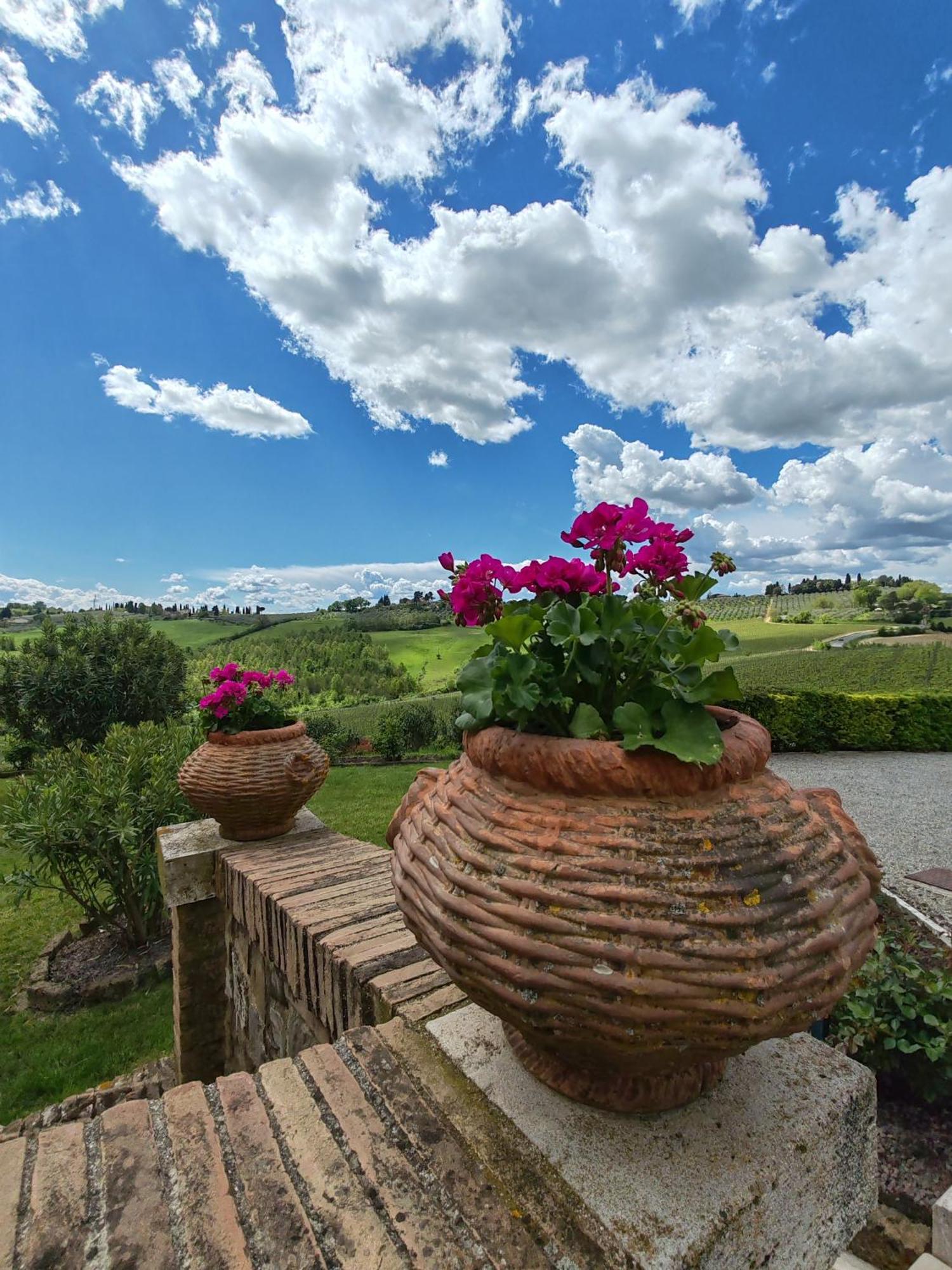 Il Castagno Wine &