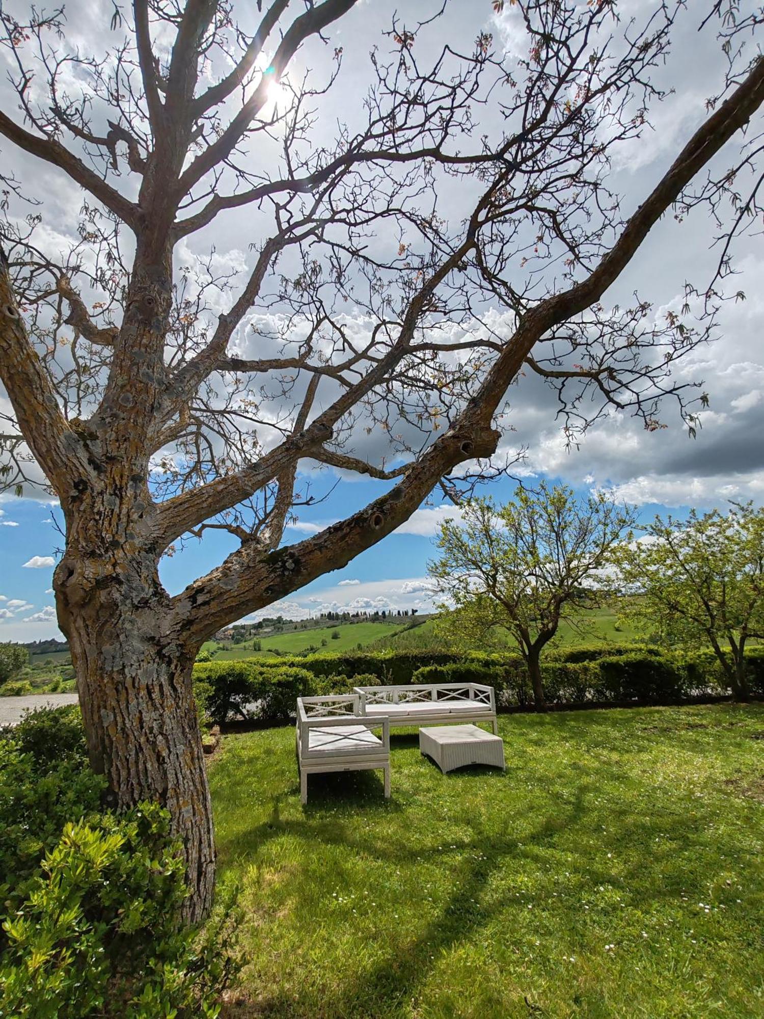 Farm stay Il Castagno Wine &