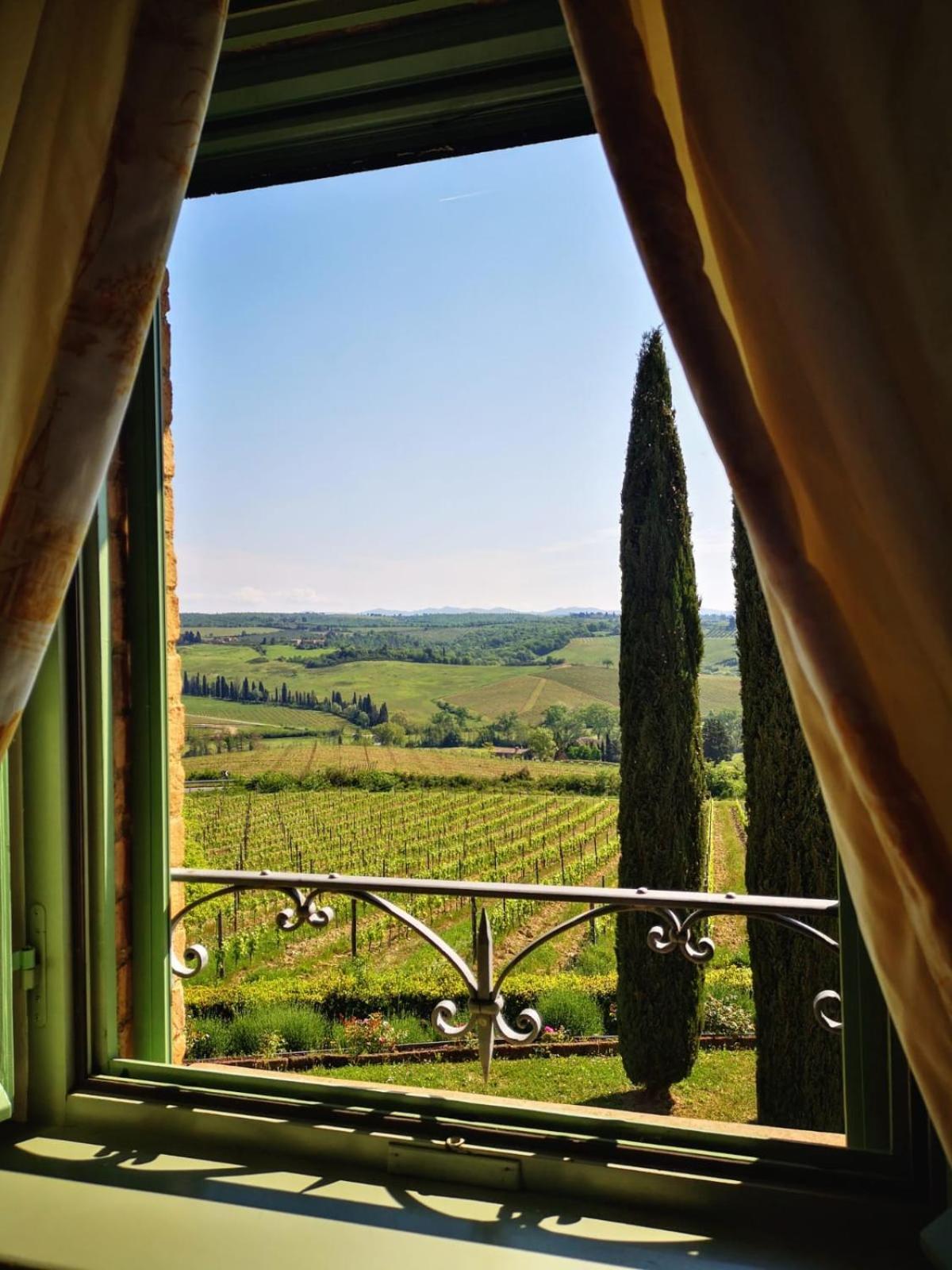 Il Castagno Wine &