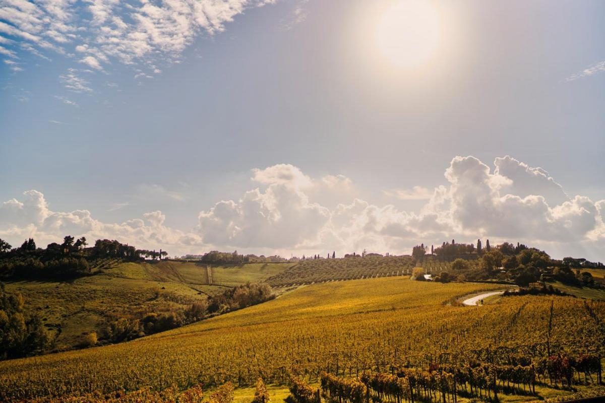 Bauernhof Il Castagno Wine & *