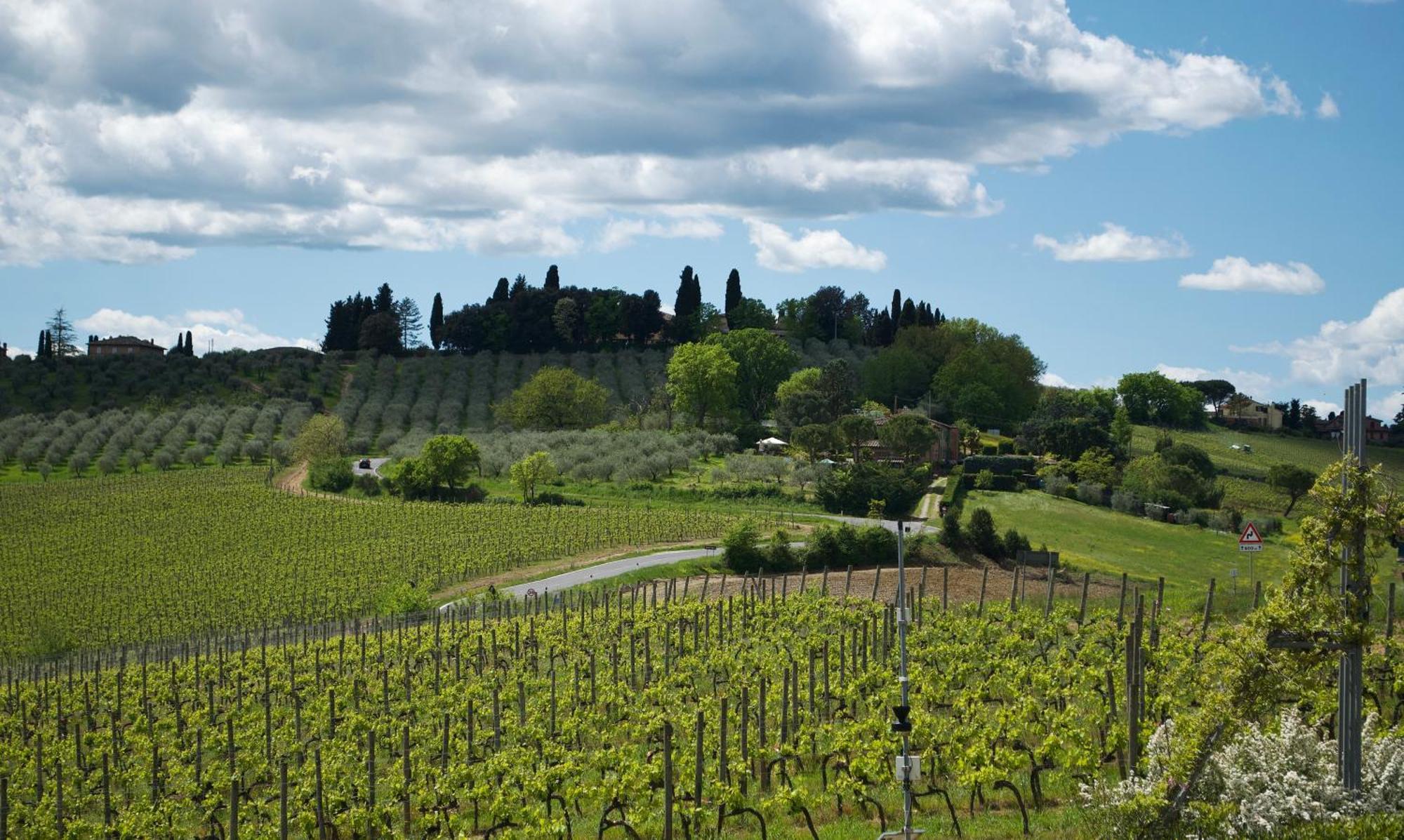 Il Castagno Wine & Siena